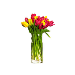 Bouquet of Red & Yellow Tulips